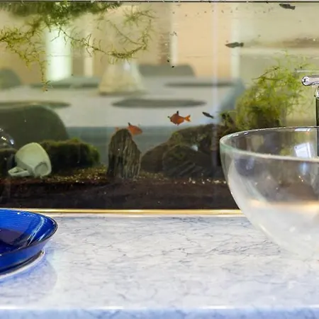 Center Penthouse - Huge Terrace And Free Parking - Tram/metro - Ac * בודפשט